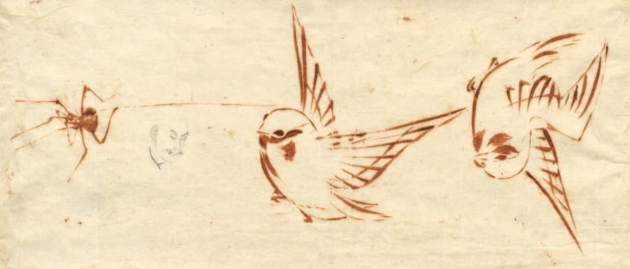 A working sketch page in red ink: quick brush studies of birds in flight and at rest, with a small spider among them